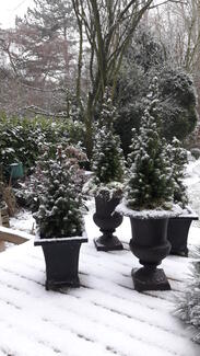 Schnee