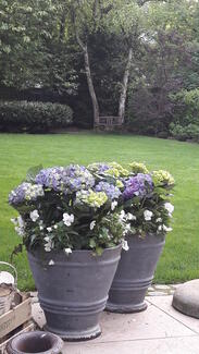Gartenliebe