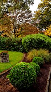 Herbststimmung | Gartengestaltung | Kroells Interior