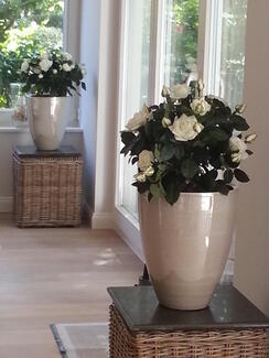 Homestyling| Kroells Interior| Parkett Eiche