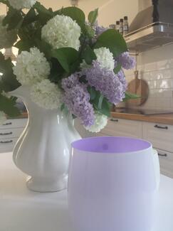 Flieder und Schneebälle | Homestyling | Kroellsinterior